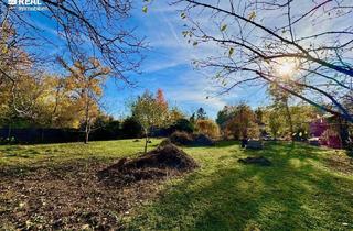 Grundstück zu kaufen in 2602 Blumau-Neurißhof, Grundstück in Blumau-Neurißhof - Tolle Gestaltungsmöglichkeiten für Ihr Traumhaus auf 549 m²