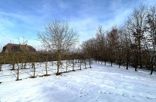 Grundstück zu kaufen in 4070 Eferding, Baugrundstück ohne Bauverpflichtigung am Stadtrand von Eferding
