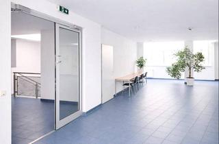 Geschäftslokal mieten in 1230 Wien, Kombination Geschäftslokal 357 m2 und Lagerfläche 310 m2 zu mieten