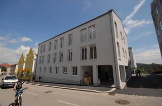 Wohnung mieten in 4152 Sarleinsbach, 2 Zimmerwohnung in Sarleinsbach