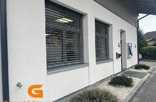 Büro zu mieten in 5082 Salzburg, Salzburg Süd - Büro / Ausstellungsflächen im Erdgeschoss mieten