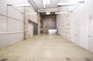 Büro zu mieten in 1230 Wien, Kombination Lager- 310 m2 und Bürofläche 182 m2 zu mieten