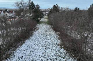 Grundstück zu kaufen in 2452 Mannersdorf am Leithagebirge, Grundstück Nr. 2 von 4 in Mannersdorf/Leithagebirge zu verkaufen - 471m²