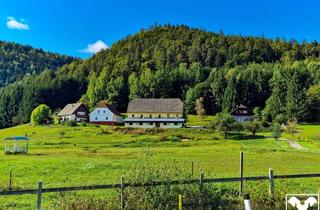 Bauernhäuser zu kaufen in 9155 Neuhaus, Ein Pferdeparadies der Extraklasse! Arrondierte Landwirtschaft mit Reitanlage und hohem Wohnkomfort