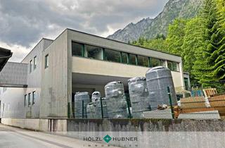 Gewerbeimmobilie mieten in 5082 Grödig, Var. 3: Betriebsliegenschaft in Stadtnähe zur Miete