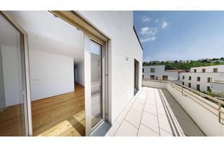 Wohnung kaufen in Kremstalstraße 75d, 3500 Krems an der Donau, marena - Wohnen in Krems: 3-Zimmer-Wohnung mit sonniger Terrasse