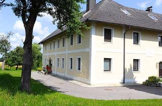 Wohnung mieten in 4407 Dietach, Wohnung mit neuer Küche in Grün- Ruhelage in 4407 Dietach