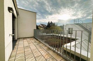 Wohnung mieten in Podhorezkygasse, 1230 Wien, Sehr gut aufgeteilte 2-Zimmer-Balkon/Terrasse-Wohnung | Atzgersdorf