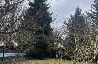 Einfamilienhaus kaufen in 4061 Pasching, Solides Einfamilienhaus mit Keller im Herzen von Langholzfeld!