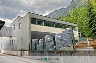 Büro zu mieten in 5082 Grödig, Var. 3: Betriebsliegenschaft in Stadtnähe zur Miete