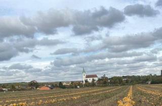 Grundstück zu kaufen in Im Eislauf, 2074 Unterretzbach, Bauplatz OHNE Bauverpflichtung