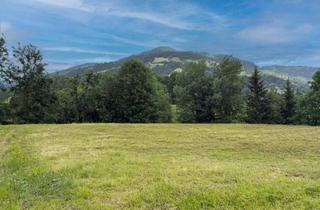 Grundstück zu kaufen in 6363 Westendorf, Vielfältiges Grundstück in sonniger Lage (06624)