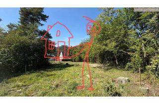 Grundstück zu kaufen in 1190 Wien, "Grüne Wolke 1190 ", ca. 700 qm Grundstück am Hackenberg und Ruhelage!