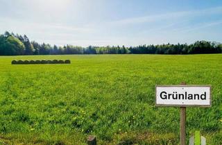 Grundstück zu kaufen in 5162 Obertrum am See, Agrar-Juwel am Haunsberg: Ebenes Grünland mit angrenzendem Waldstück