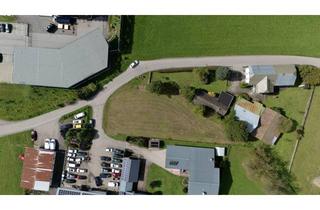 Grundstück zu kaufen in Lindenweg, 9754 Steinfeld, Erschlossenes Gewerbegrundstück nahe Spittal/Drau