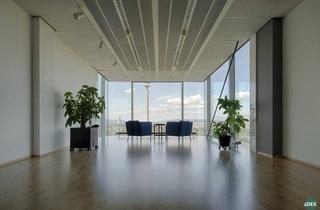 Büro zu mieten in Leonard-Bernstein-Straße, 1220 Wien, Hochwertige Flächen im Saturn Tower