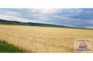 Gewerbeimmobilie kaufen in 4783 Wernstein am Inn, Schöner Acker im Bezirk Schärding!