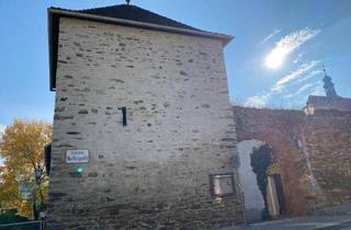 Wohnung mieten in Kellergasse 3/11, 3500 Krems an der Donau, Kellergasse 3/11