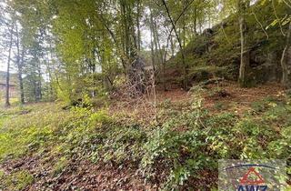 Haus kaufen in 4224 Wartberg ob der Aist, Seltene Gelegenheit in der Nähe von Linz: Haus mit Geschichte und Weitblick!