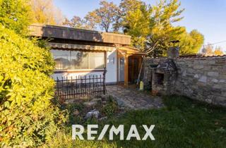 Grundstück zu kaufen in Donau, 1220 Wien, Alte Donau: Kleingartengrundstück mit Altbestand und Entwicklungspotenzial