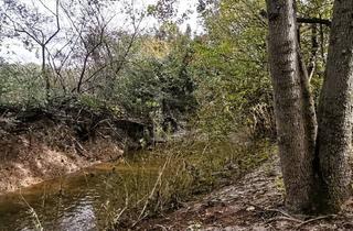 Grundstück zu kaufen in 2602 Blumau-Neurißhof, IDYLLISCHE LAGE MIT ZUGANG ZU BACHLAUF