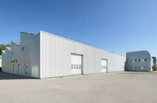 Lager mieten in 1210 Wien, Adaptive Lagerhalle in Strebersdorf - Wien Nord