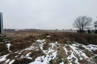 Grundstück zu kaufen in 2201 Seyring, Baugrund nähe Wien! 2026 Traumhaus planen und bauen!