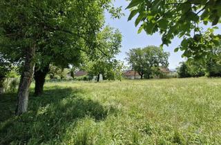 Grundstück zu kaufen in Burgerstraße 38, 4020 Linz, Exklusives Baugrundstück in Leonding bei Linz - 896 m² für Ihr Traumhaus