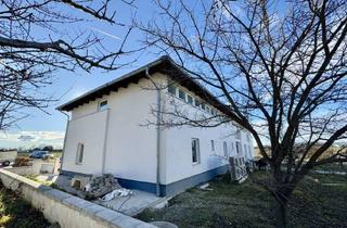 Lager kaufen in 2201 Gerasdorf, GEWERBEIMMOBILIE MIT 2 GEBÄUDEN IN GERASDORF ZUM SCHNÄPPCHENPREIS