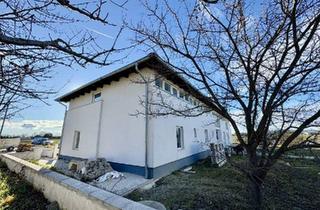 Gewerbeimmobilie kaufen in 2201 Gerasdorf, GEWERBEIMMOBILIE MIT 2 GEBÄUDEN IN GERASDORF ZUM SCHNÄPPCHENPREIS