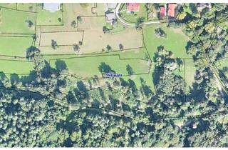 Gewerbeimmobilie kaufen in 9142 Globasnitz, Landiwrtschaftliche Flächen in Jaunstein/Globasnitz - 1,7 ha Wiese, Weide, Wald