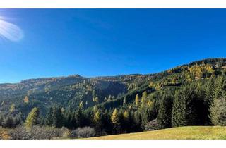 Gewerbeimmobilie kaufen in 9400 Wolfsberg, 155 Hektar Forst- und Jagdrevier im Bezirk Wolfsberg