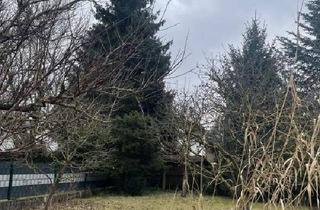 Einfamilienhaus kaufen in 4061 Pasching, Solides Einfamilienhaus mit Keller im Herzen von Langholzfeld!