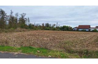 Grundstück zu kaufen in Halbenrainerstrasse, 8490 Bad Radkersburg, Attraktives Gewerbegrundstück 3.720 m² Bad Radkersburg, Zufahrt B69, Grenznähe“