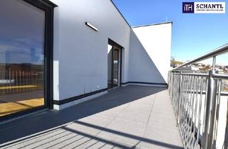 Haus mieten in Reiteregg, 8113 Sankt Oswald bei Plankenwarth, Fantastisches DOPPELHAUS mitten im Weinparadies - mit DOPPELGARAGE, GARTEN, TERRASSE & DACHTERRASSE! Ab März 2026!