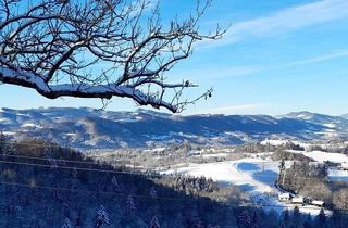Haus kaufen in 8462 Gamlitz, ehemaliger Gutshof mit traumhaften Blick an der südsteirischen Weinstraße