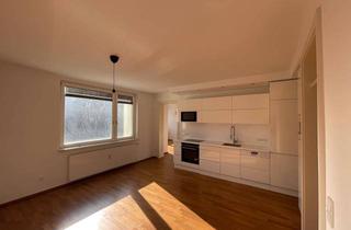 Wohnung mieten in Kettenbrückengasse, 1050 Wien, Traumhafte Stadtwohnung in Toplage - große Terrasse und Parkplatz inklusive!