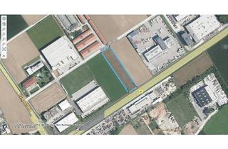 Büro zu mieten in 4063 Hörsching, 7 x 150 m2 Gewerbehallen (auch KFZ tauglich) plus Kellerlager mit LKW Zufahrt und Büros im OG Fertigstellung März 2027