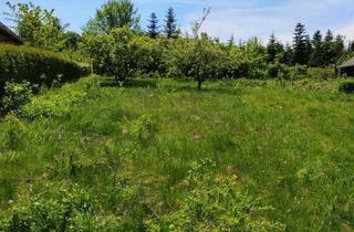 Grundstück zu kaufen in 3021 Pressbaum, Neuer Preis!! Sonniges Baugrundstück in Rekawinkel / Pressbaum – voll aufgeschlossen