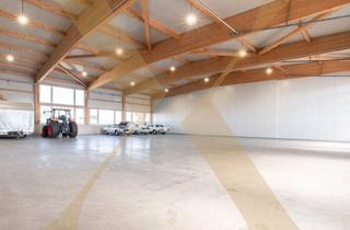 Lager mieten in 4341 Arbing, Neuwertige & beheizte Lager- oder Gewerbehalle mit Rolltor in Arbing (Bezirk Perg) zu vermieten!