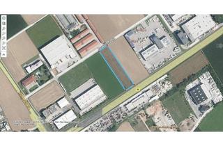 Büro zu mieten in 4063 Hörsching, 7 x 150 m2 Gewerbehallen (auch KFZ tauglich) plus Kellerlager mit LKW Zufahrt und Büros im OG Fertigstellung März 2027