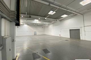 Büro zu mieten in 2320 Schwechat, Attraktive Lagerfläche mit direkter Ladezone in Flughafennähe