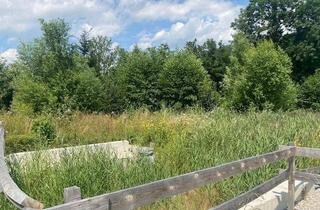 Grundstück zu kaufen in 2640 Pettenbach, -30% Preisreduktion! Frühjahrsaktion für 2 Monate! Dieses Baugrundstück bietet Perspektive!