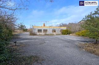 Grundstück zu kaufen in Grenzgasse, 2542 Kottingbrunn, Großzügiges Grundstück mit vielfältigen Möglichkeiten in Kottingbrunn