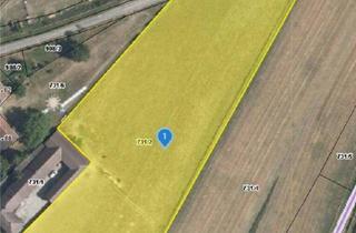 Gewerbeimmobilie kaufen in 3562 Schönberg, "10.775 m² Freiheit für Ihre Vision – Landwirtschaftliches Grundstück in Schönberg am Kamp“