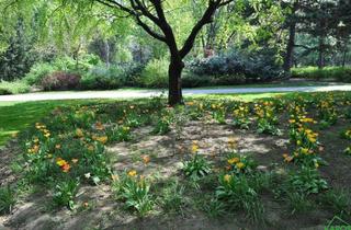 Wohnung mieten in Sonnleithnergasse, 1100 Wien, Moderne 2-Zimmer-Wohnung in 1100 Wien – Ihr neues Zuhause wartet!