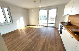 Wohnung mieten in 3451 Michelhausen, Morgensonne mit Ausblick - Ihr Wohn(t)raum im Tullnerfeld - tolle 2-Zimmer-Terrassenwohnung / Neubau / topmodern / Erstbezug - Tiefgarage optional verfügbar!