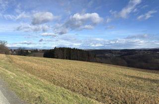 Grundstück zu kaufen in 7532 Litzelsdorf, Bauland-Grundstück in erhöhter, ruhiger Lage mit traumhaften Ausblick