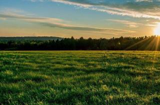 Gewerbeimmobilie kaufen in 2620 Neunkirchen, Ackerland in der Region 2620 – Ideale landwirtschaftliche Nutzfläche zu kaufen. Zum Verkauf steht eine attraktive Ackerfläche mit einer Gesamtgröße von ca. 4,04 Hektar in guter landwirtschaftlicher Lage.