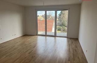 Wohnung kaufen in Schulgartengasse, 2700 Wiener Neustadt, Erstbezug! 2 Zimmer Wohnung in Wiener Neustadt - Loggia, Personenaufzug, modernste Ausstattung!